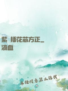 紫龍插花芯方正