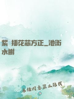 紫龍插花芯方正