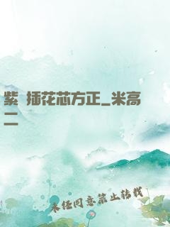 紫龍插花芯方正
