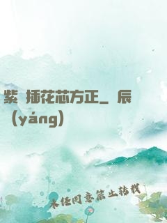 紫龍插花芯方正