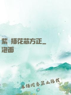 紫龍插花芯方正