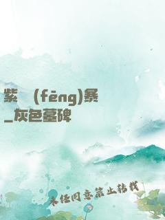 紫龍風(fēng)暴