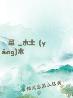 終極圣靈