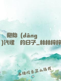 給雙胞胎當(dāng)代理媽媽的日子