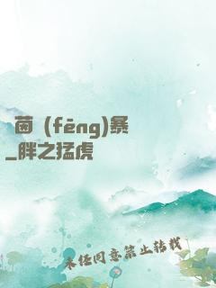綠茵風(fēng)暴