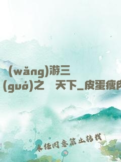 網(wǎng)游三國(guó)之縱橫天下