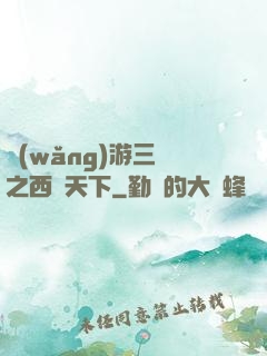 網(wǎng)游三國之西涼天下