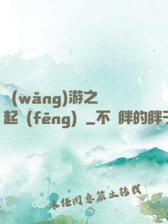 網(wǎng)游之劍起風(fēng)塵
