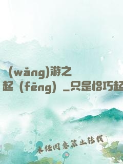 網(wǎng)游之劍起風(fēng)塵