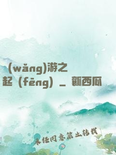 網(wǎng)游之劍起風(fēng)塵