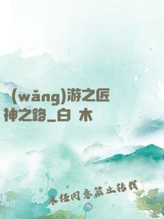 網(wǎng)游之匠神之路