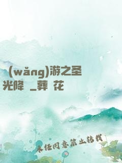 網(wǎng)游之圣光降臨