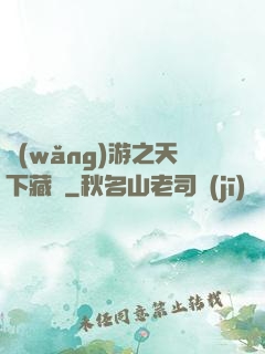 網(wǎng)游之天下藏鋒