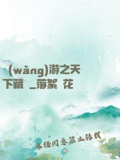 網(wǎng)游之天下藏鋒