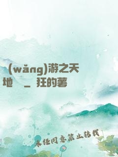 網(wǎng)游之天地縱橫