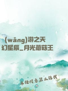網(wǎng)游之天幻星辰