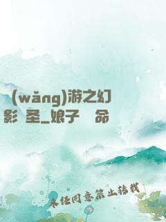 網(wǎng)游之幻影劍圣