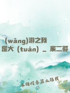 網(wǎng)游之我是大團(tuán)長