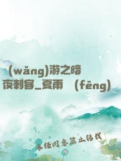 網(wǎng)游之暗夜刺客