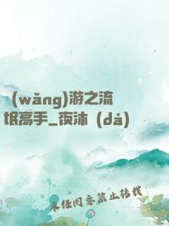 網(wǎng)游之流氓高手