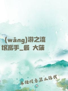網(wǎng)游之流氓高手
