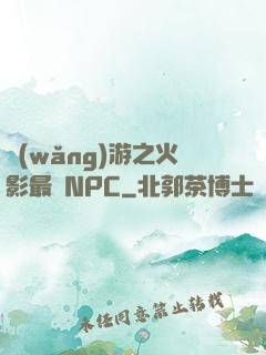 網(wǎng)游之火影最強NPC