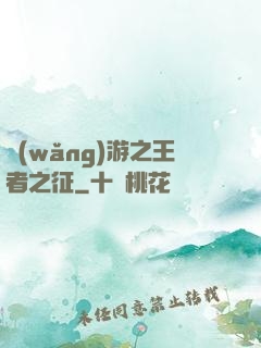 網(wǎng)游之王者之征