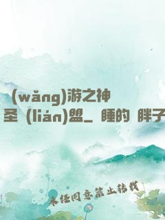 網(wǎng)游之神圣聯(lián)盟