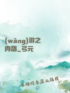 網(wǎng)游之終極肉盾