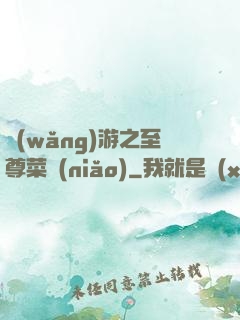 網(wǎng)游之至尊菜鳥(niǎo)