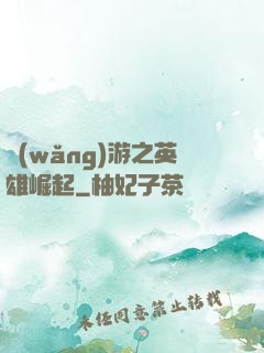 網(wǎng)游之英雄崛起