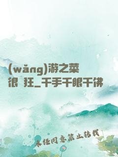 網(wǎng)游之菜鳥很瘋狂