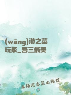 網(wǎng)游之菜鳥玩家
