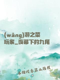 網(wǎng)游之菜鳥玩家