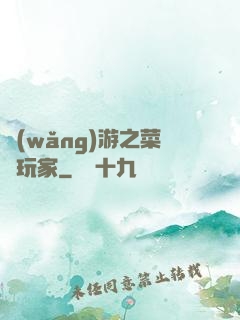 網(wǎng)游之菜鳥玩家