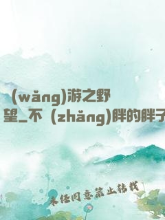 網(wǎng)游之野望