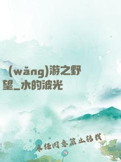 網(wǎng)游之野望