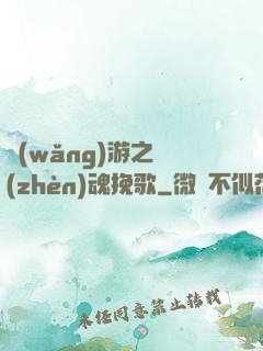 網(wǎng)游之鎮(zhèn)魂挽歌