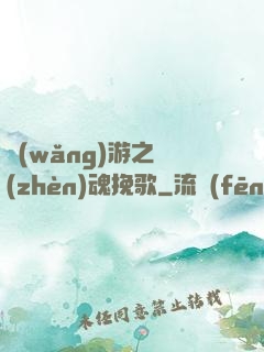 網(wǎng)游之鎮(zhèn)魂挽歌