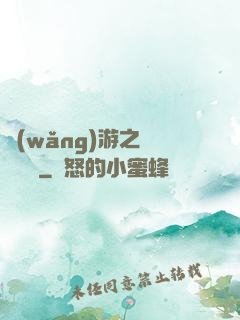 網(wǎng)游之雙劍傳說