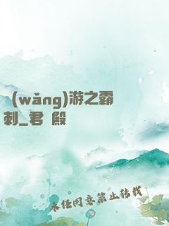 網(wǎng)游之霸刺