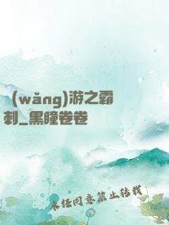 網(wǎng)游之霸刺