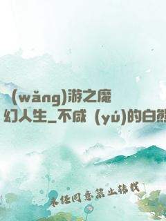 網(wǎng)游之魔幻人生