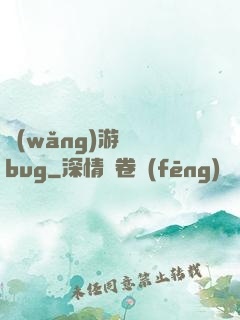 網(wǎng)游專屬bug