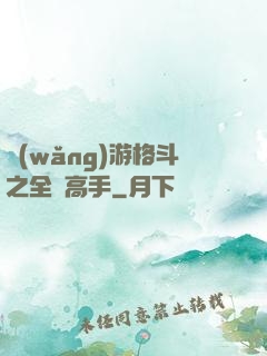 網(wǎng)游格斗之全職高手