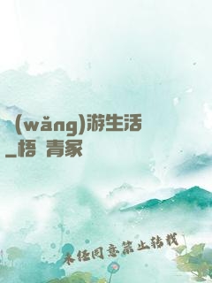 網(wǎng)游生活