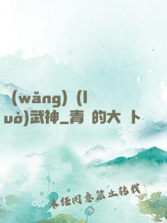 網(wǎng)絡(luò)武神