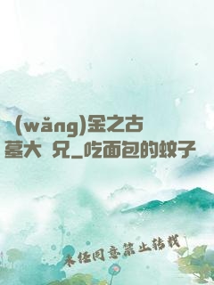 網(wǎng)金之古墓大師兄
