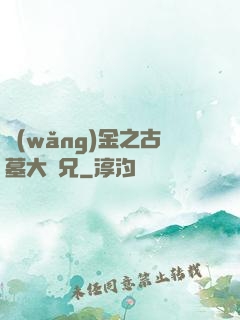 網(wǎng)金之古墓大師兄