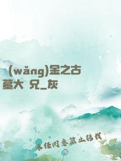 網(wǎng)金之古墓大師兄